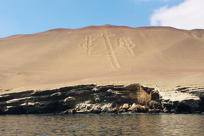 Private Tour to Ballestas Islands, Ica and Huacachina Including Sandboarding - Pricing and Cancellation