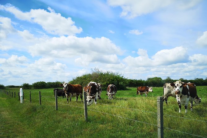 Private Tour to Bayeux, Honfleur and Pays D Auge From Caen - Sampling Local Specialties
