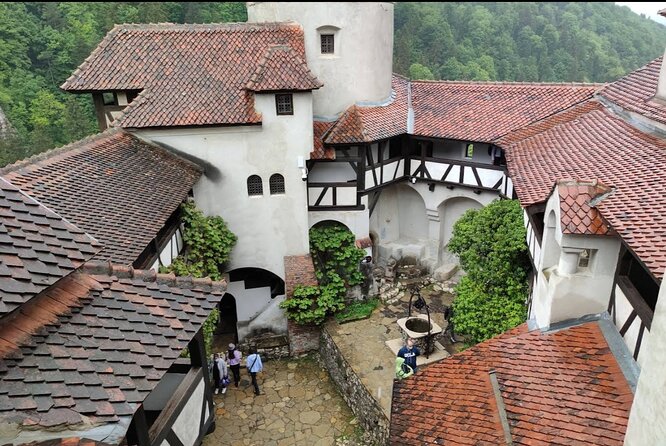 Private Tour to Bears Sanctuary and Draculas Castle - Exploring Libearty Bear Sanctuary