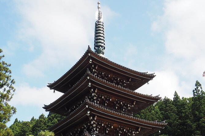 Private Tour to Big Buddha and Nebuta Museum With Licensed Guide - Meeting and Pickup