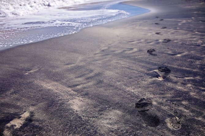 Private Tour to Black Sand Beach in The Southeast of Puerto Rico - Pricing