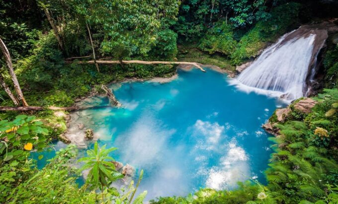 Private Tour to Blue Hole and Scotchies in Ocho Rios - Local Cuisine and Dining