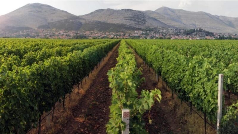Private Tour To Bosnia And Hercegovina - Required Documents and Considerations