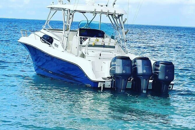 Private Tour to Cayo Icacos and Palomino Island - The Reality of the Experience