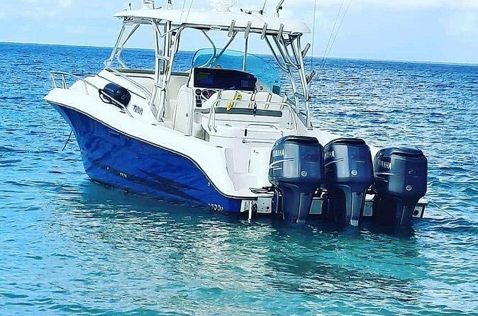 Private Tour to Cayo Icacos and Palomino Island - Analyzing the Cost and Value