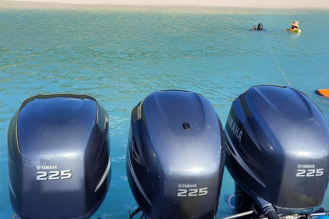 Private Tour to Cayo Icacos and Palomino Island - Booking Information