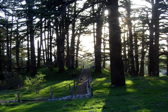 PRIVATE Tour to Cedars of God, Besharre & Qozhaya Valley - Key Points