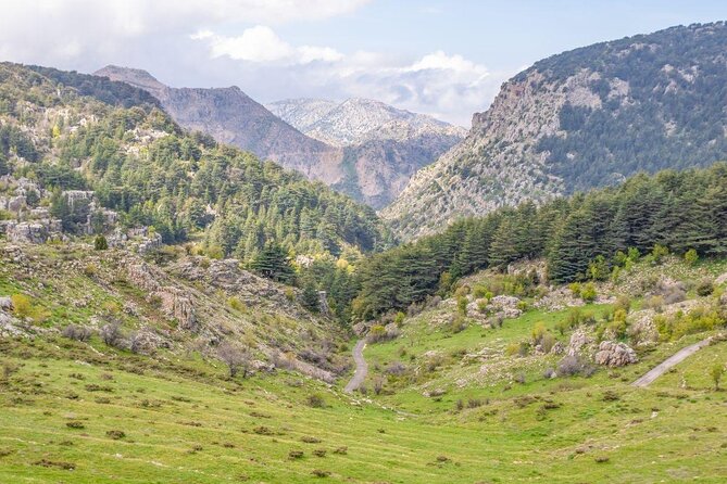PRIVATE Tour to Cedars of God, Besharre & Qozhaya Valley - Customer Reviews and Ratings