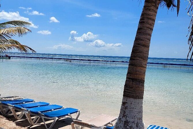 Private Tour to Chacchoben Mayan Temples & Beach - The Sum Up