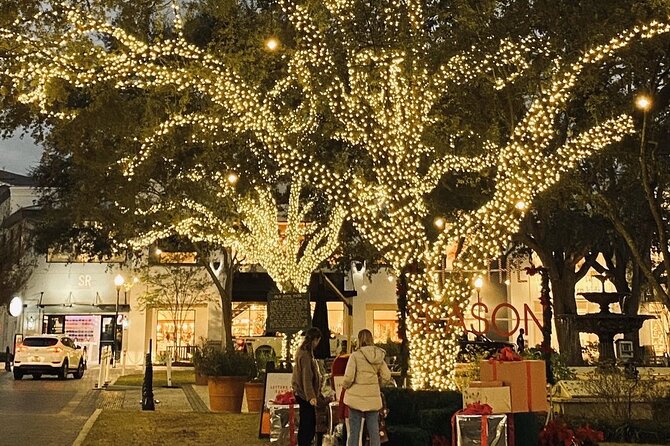 Private Tour to Christmas Winter Village, Bayshore and Hyde Park - Tour Accessibility and Suitability