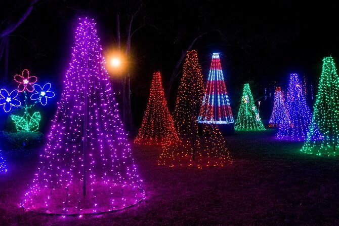 Private Tour to Christmas Winter Village, Bayshore and Hyde Park - Age Requirement and Group Size