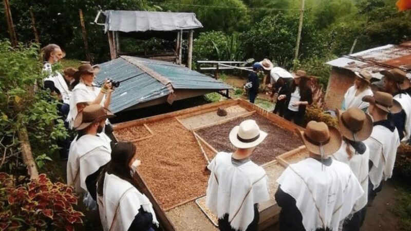 Private Tour to Coffee Farm (Farm of Your Choice) - Inclusions