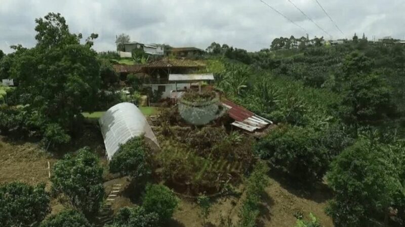 Private Tour to Coffee Farm (Farm of Your Choice) - Coffee Farm Options