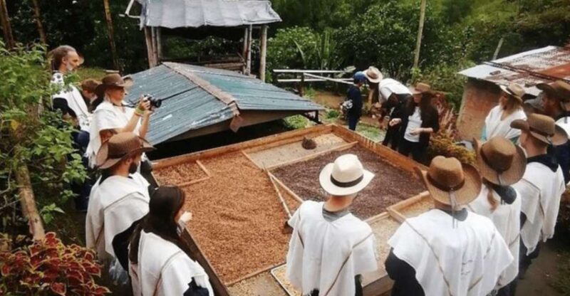 Private Tour to Coffee Farm (Farm of Your Choice) - Transportation Details