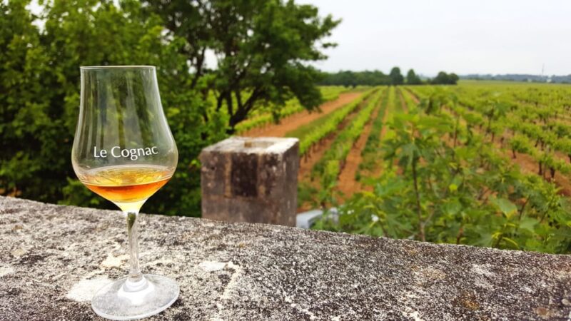Private Tour to Cognac From Saintes, Angouleme (From Paris) - Main Activities