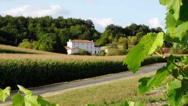 Private Tour to Cognac From Saintes, Angouleme (From Paris) - Lunch Experience