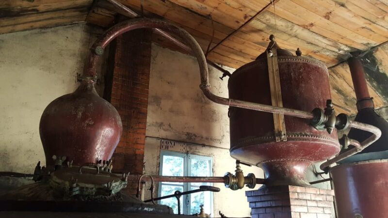 Private Tour to Cognac From Saintes, Angouleme (From Paris) - Expert-Led Tour