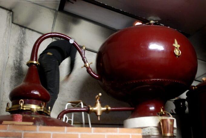 Private Tour to Cognac From Saintes, Angouleme (From Paris) - Cognac Production Process
