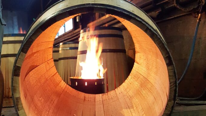 Private Tour to Cognac From Saintes, Angouleme (From Paris) - Local History and Architecture