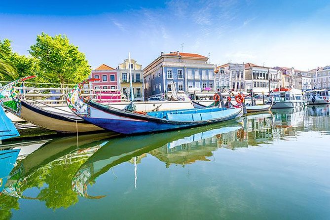 Private Tour to Coimbra, Aveiro and Costa Nova - Additional Information