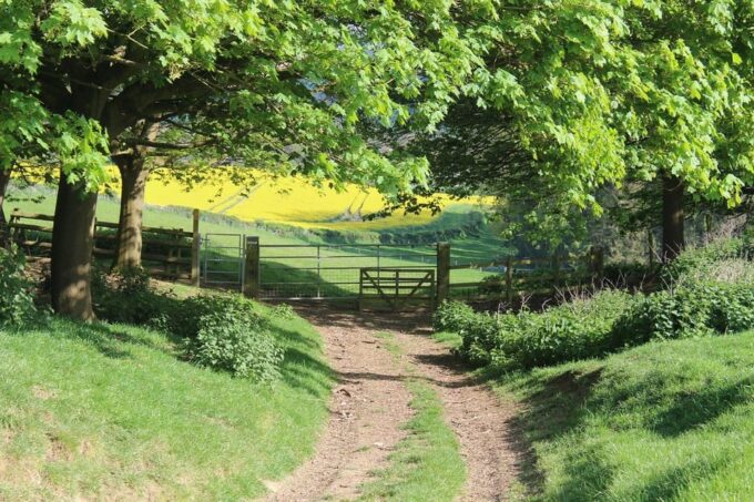 Private Tour to Costwolds From London - Transportation and Accessibility