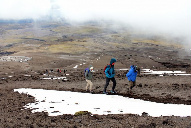Private Tour to Cotopaxi National Park From Quito - Customizable Itinerary and Highlights