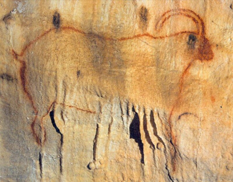 Private Tour to Cougnac Prehistoric Cave With Transportation - Inclusions and Exclusions