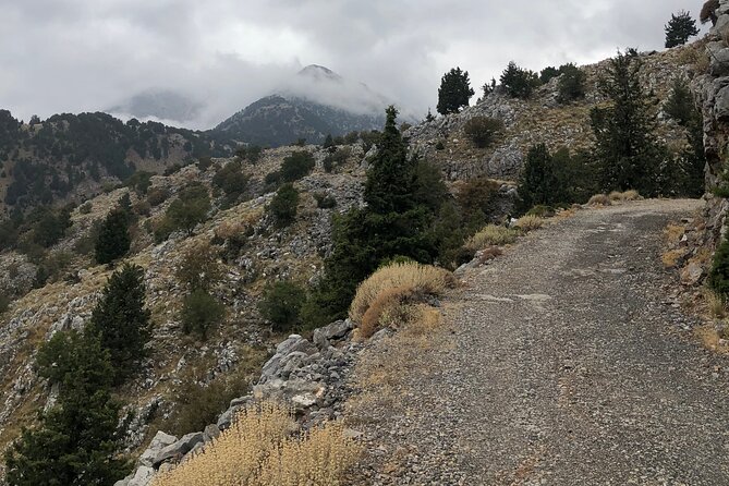 Private Tour to Cretan Villages of Apokoronas and Prophet Ilias - Visiting Prophet Ilias