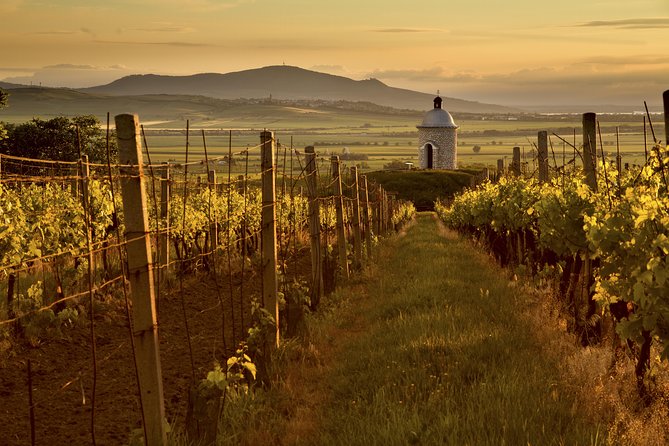 Private Tour to Czech Wine Regions - Lednice and Valtice - Recommended Restaurant and Food