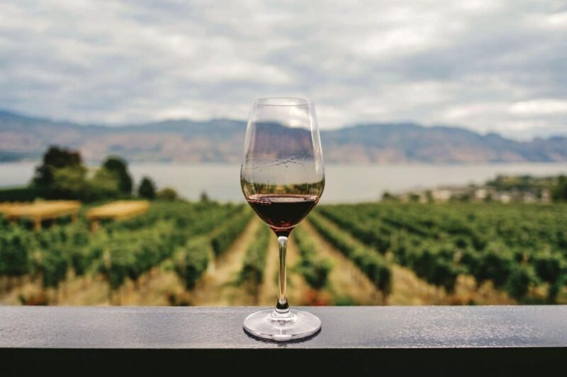 Private Tour to Discover Alentejo Wines - Key Points