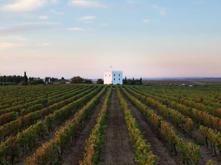 Private Tour to Discover Alentejo Wines - Tour Features