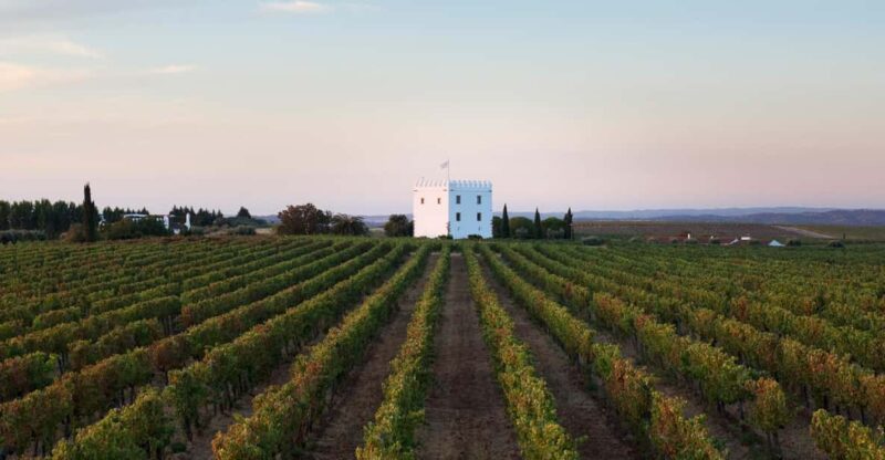 Private Tour to Discover Alentejo Wines - Itinerary Highlights