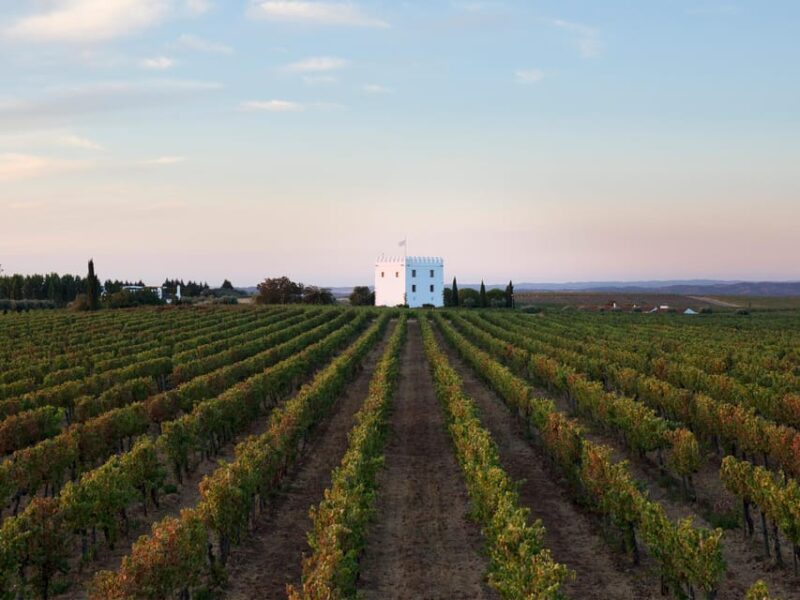 Private Tour to Discover Alentejo Wines - Important Information