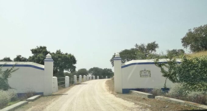 Private Tour to Discover Alentejo Wines - Discover Alentejo Wines