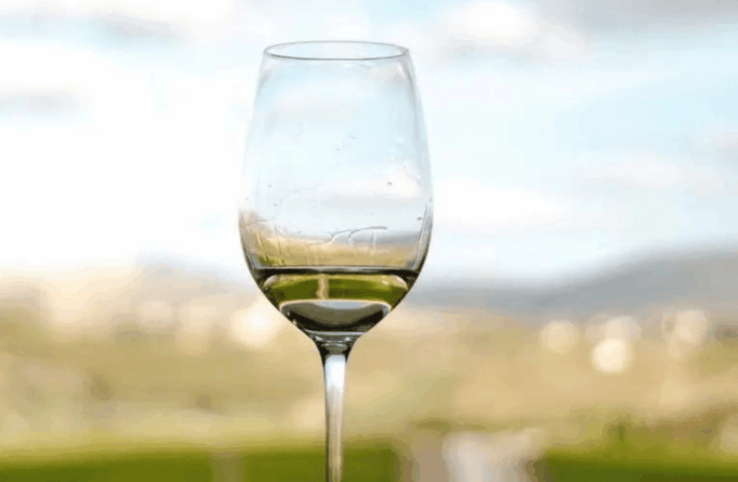 Private Tour to Discover Alentejo Wines - Exclusive Wine Experience