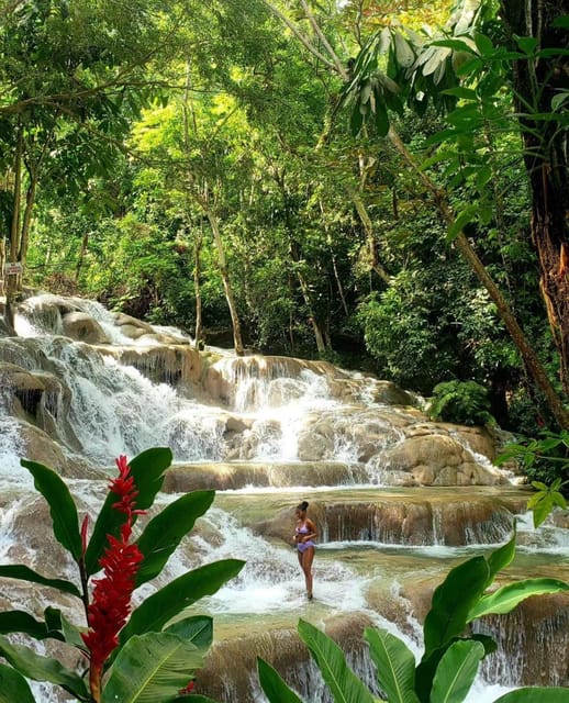 Private Tour to Dunns River and Blue Hole From Montego Bay - Transportation Details