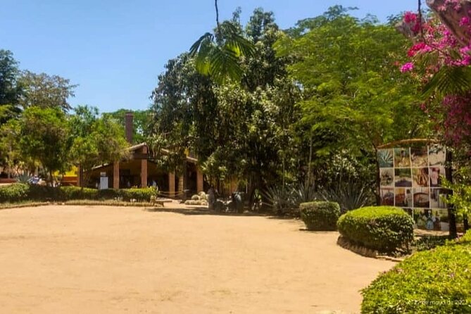 Private Tour to El Quelite Village and Tequila Distillery From Mazatlan - Pickup Information