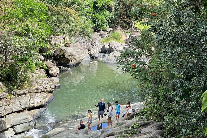 Private Tour to El Yunque Rainforest or Natural Mar Chiquita - Reviews and Ratings