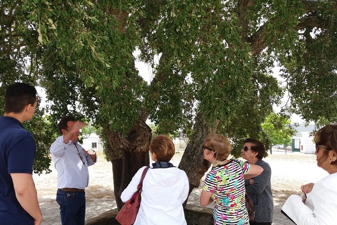 Private Tour to Evora and Cork Experience From Lisbon - Exploring Évora and Cork Heritage