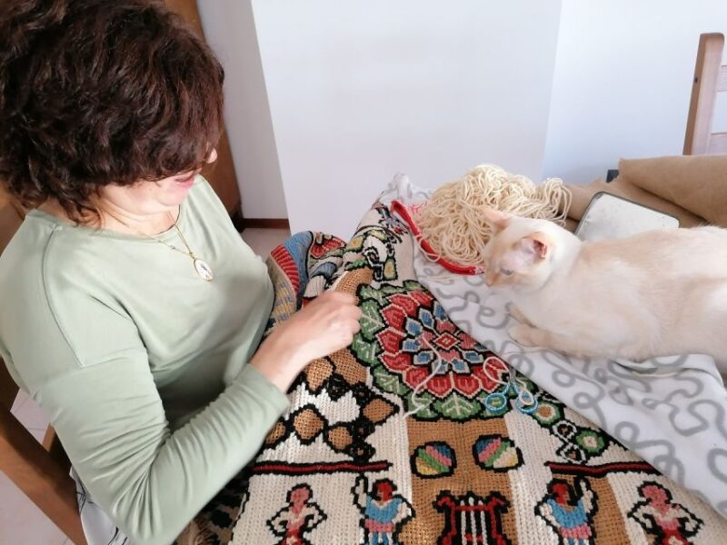 Private Tour to Evora & Arraiolos Learn to Embroider a Rug - Itinerary and Highlights