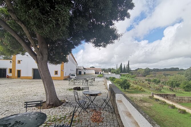 Private Tour to Evora With Wine Tasting at the Cartuxa Winery - Inclusions