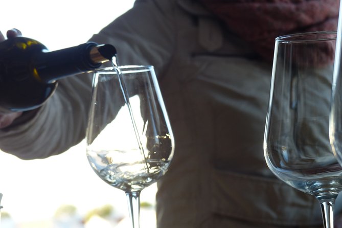 Private Tour to Evora With Wine Tasting at the Cartuxa Winery - Winery Experience