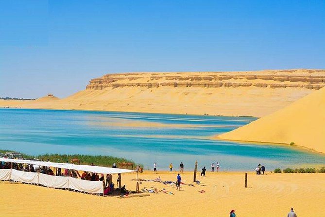 Private Tour to Fayoum Oasis, Valley of the Whales & Wadi Al Rian From Cairo. - Booking Information