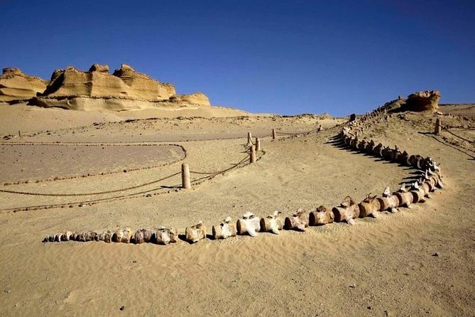 Private Tour to Fayoum Oasis, Valley of the Whales & Wadi Al Rian From Cairo. - Fayoum Oasis Exploration