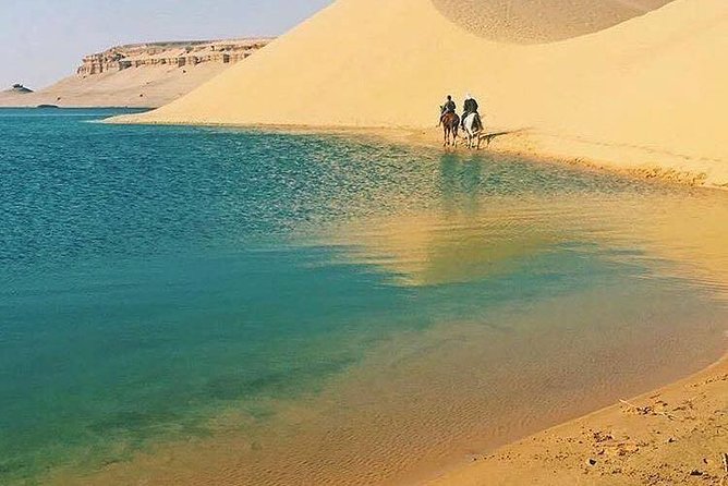 Private Tour to Fayoum Oasis, Valley of the Whales & Wadi Al Rian From Cairo. - Valley of the Whales