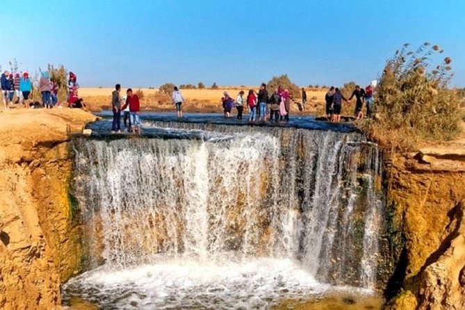 Private Tour to Fayoum Oasis, Valley of the Whales & Wadi Al Rian From Cairo. - Wadi El Rian Adventure