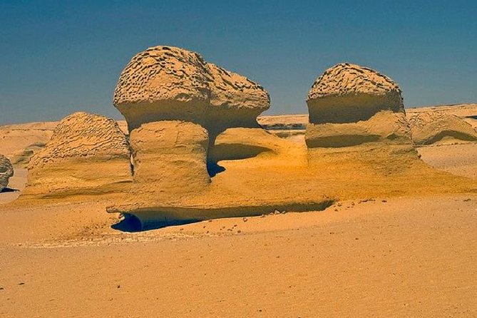 Private Tour to Fayoum Oasis, Valley of the Whales & Wadi Al Rian From Cairo. - Customer Ratings