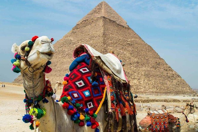 Private Tour to Giza Pyramids, Sphinx and Egyptian Museum - Qualified Egyptologist Guide