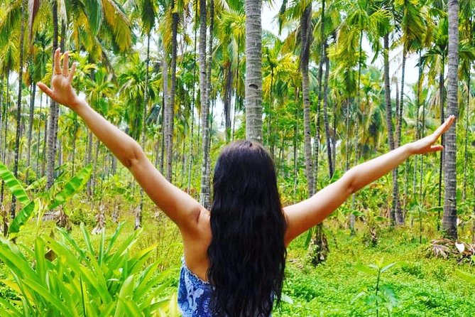 Private Tour to Goa and Dudhsagar Waterfalls With Lunch - Reviews and Feedback