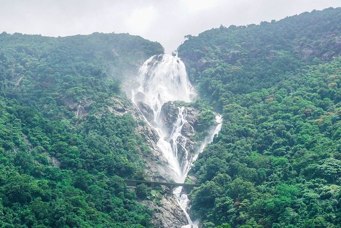 Private Tour to Goa and Dudhsagar Waterfalls With Lunch - Savoring Goan Cuisine